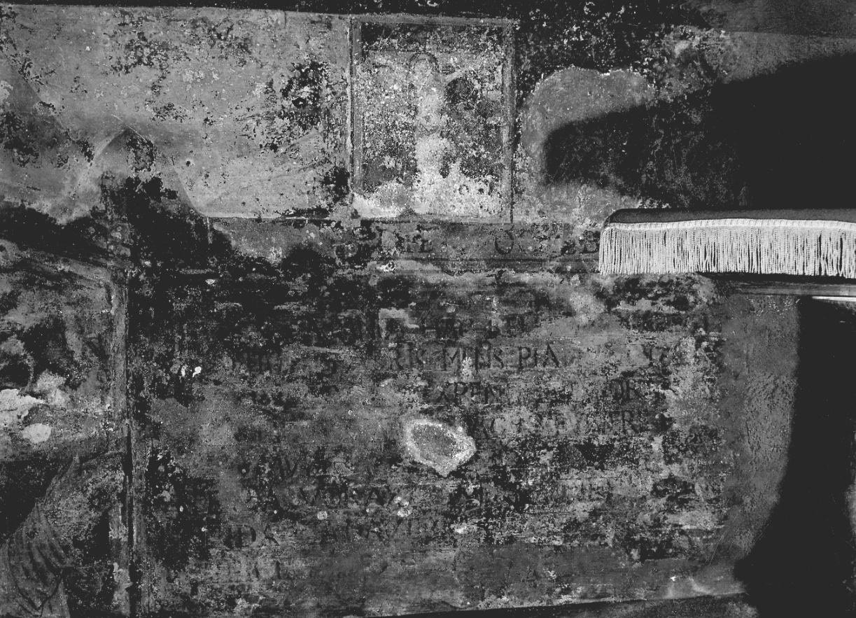 decorazione pittorica, insieme - ambito piemontese (metà sec. XVI)