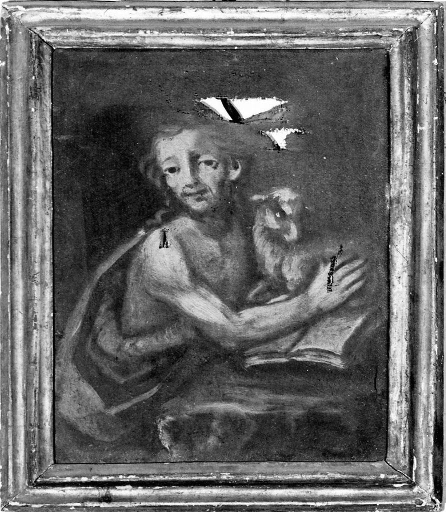 San Giovanni Battista (dipinto, opera isolata) - ambito piemontese (prima metà sec. XVIII)