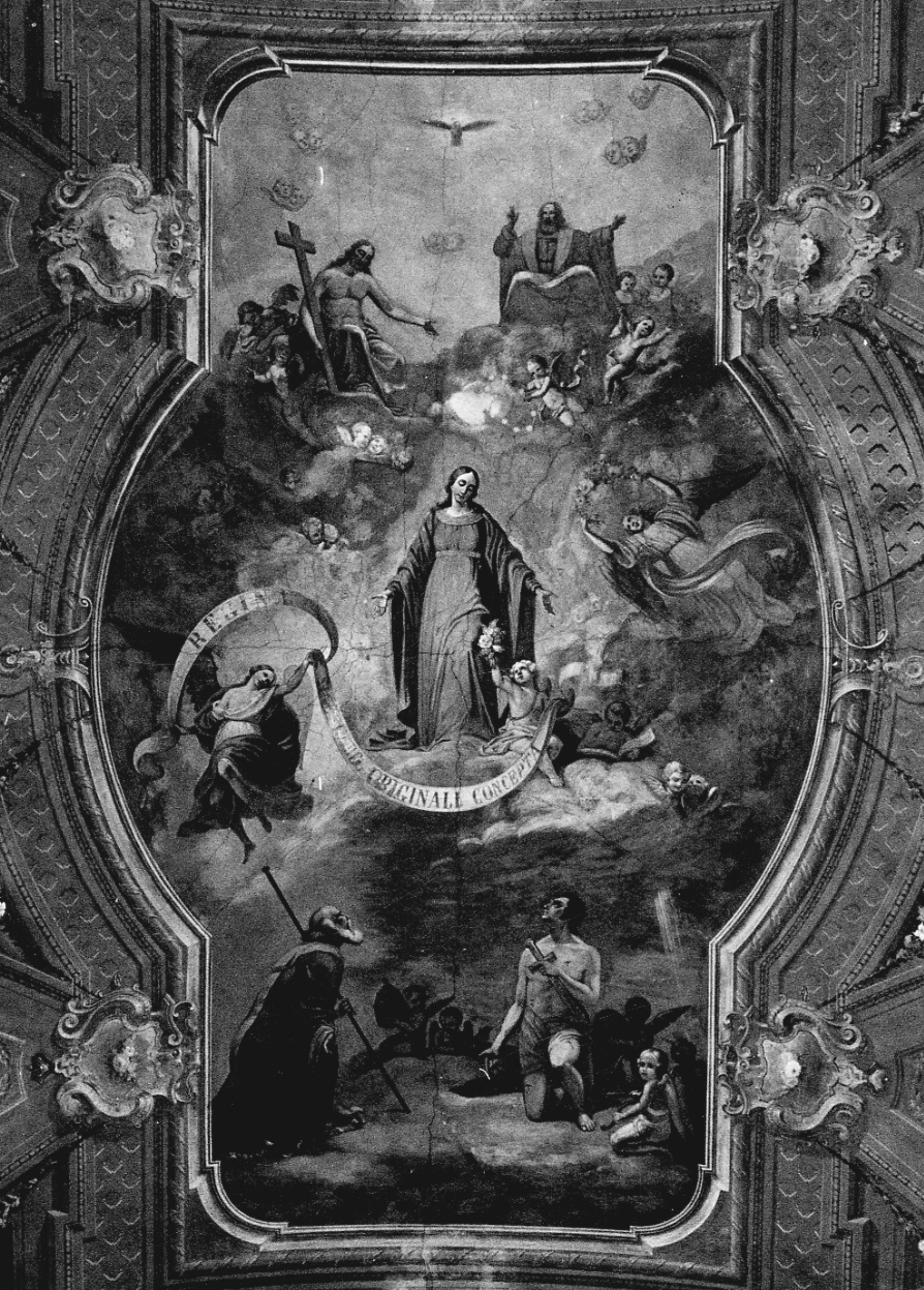 assunzione della Madonna (dipinto, opera isolata) di Ciancia Perrone Antonio (terzo quarto sec. XIX)
