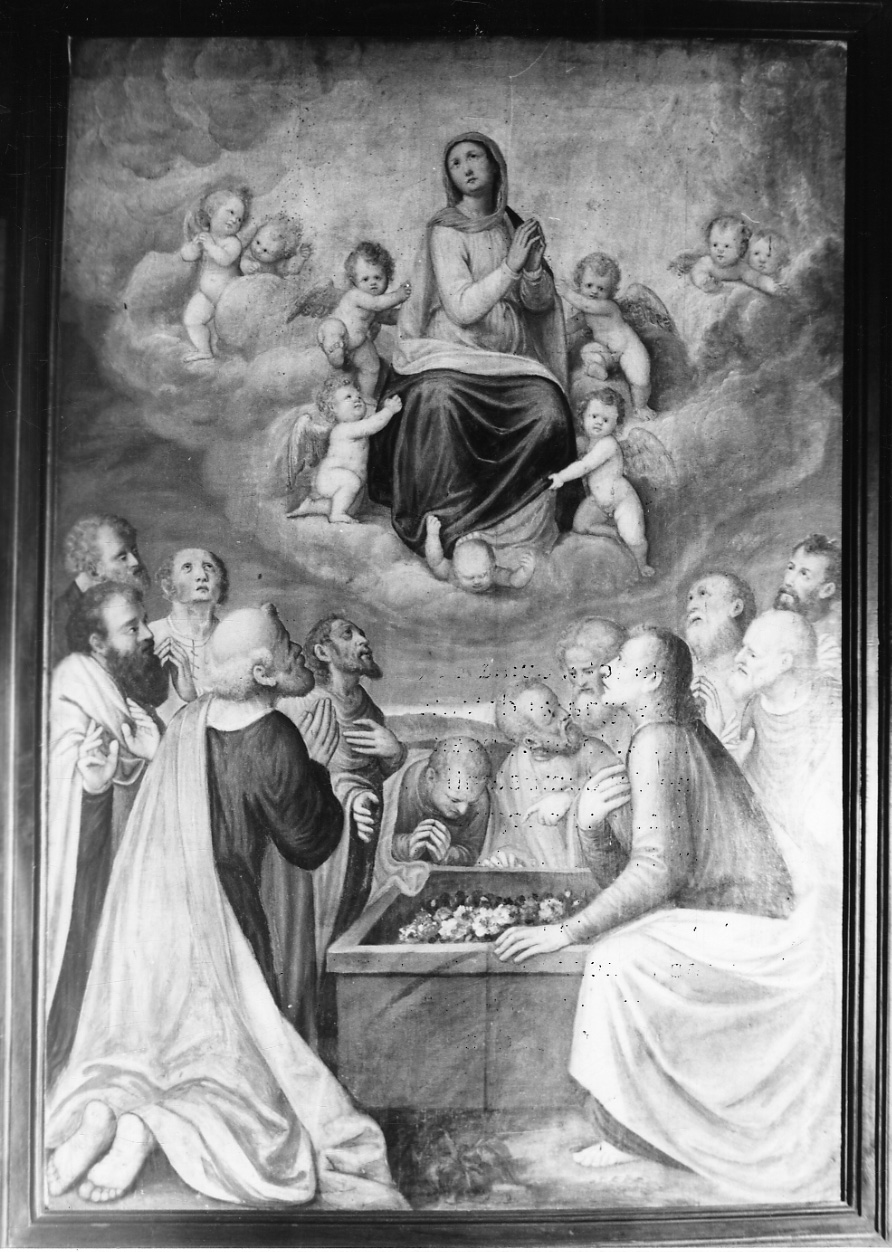 assunzione della Madonna (dipinto, opera isolata) di Caccia Guglielmo detto Moncalvo (attribuito) (ultimo quarto sec. XVI)