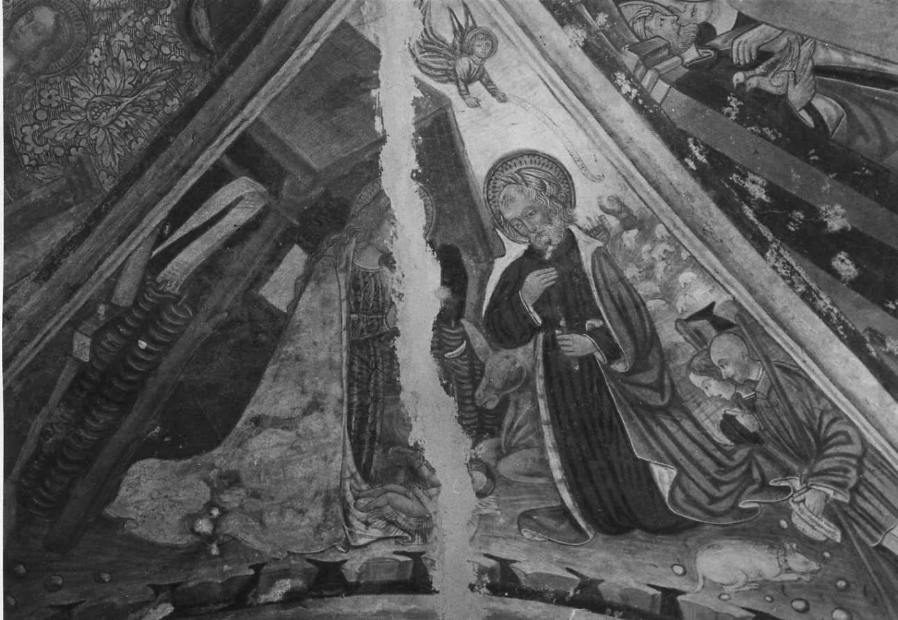 adorazione dei pastori (dipinto, elemento d'insieme) di De Bosis Daniele (attribuito) (inizio sec. XVI)