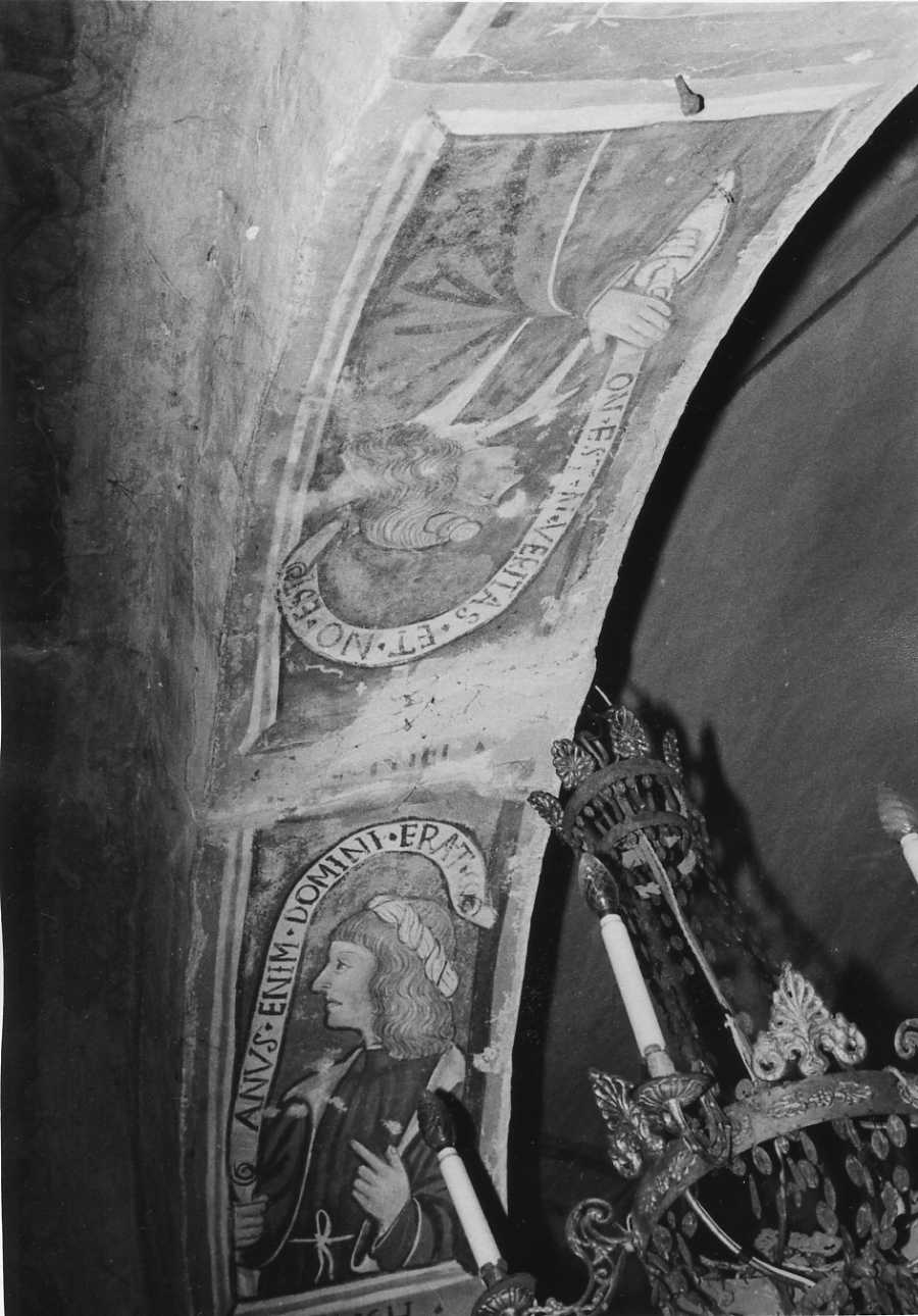 profeti (dipinto, elemento d'insieme) di De Bosis Daniele (attribuito) (inizio sec. XVI)