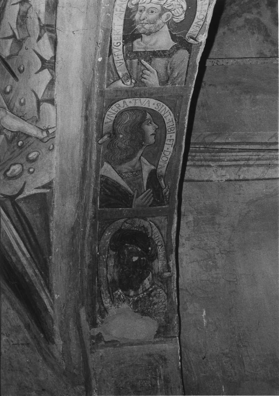 Isaia (dipinto, elemento d'insieme) di De Bosis Daniele (attribuito) (inizio sec. XVI)