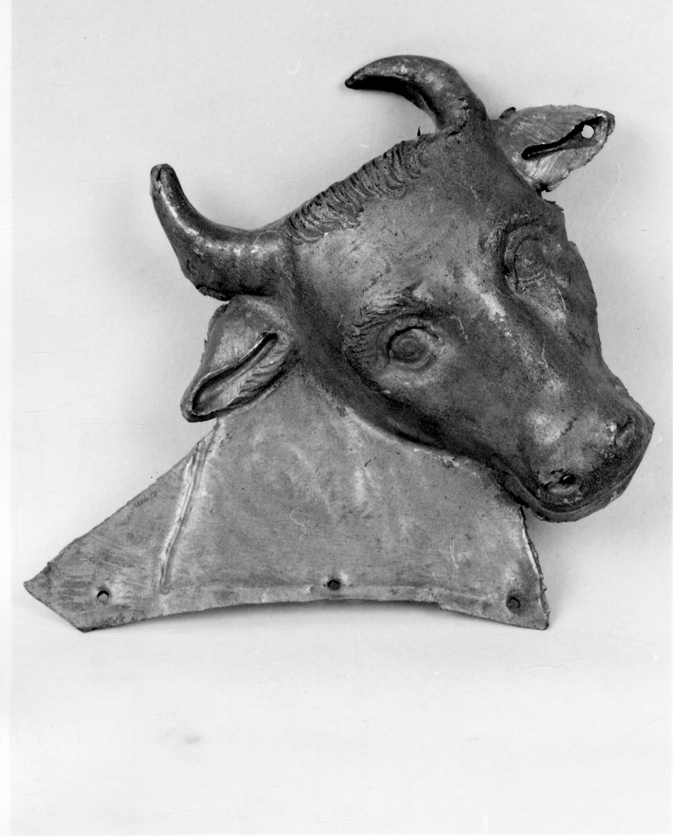 toro (decorazione plastica, elemento d'insieme) di Boggio Ignazio (sec. XIX)