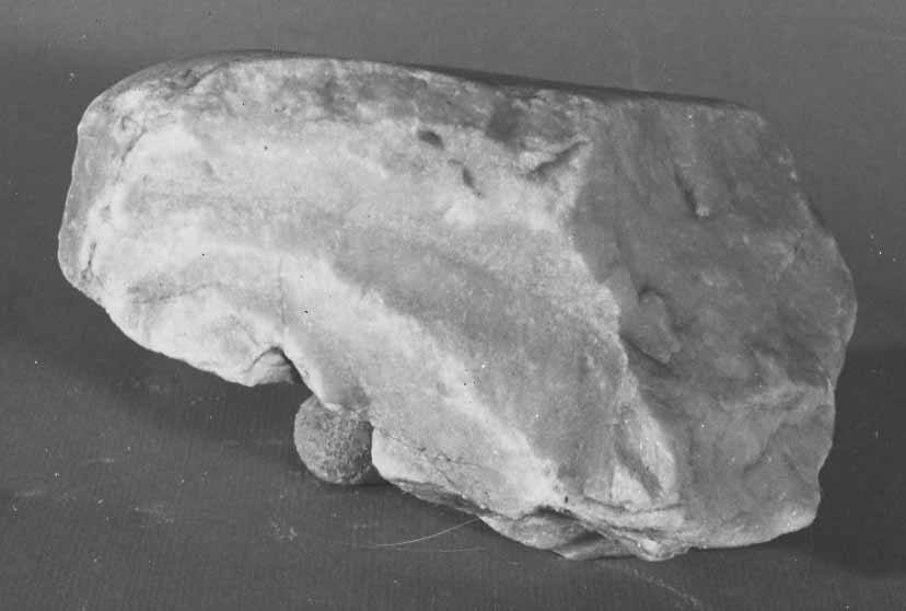 decorazione plastica, frammento - bottega liguro-piemontese (sec. VIII)