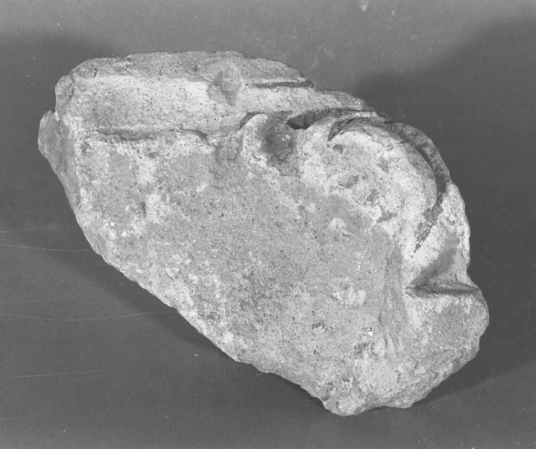 decorazione plastica, frammento - bottega liguro-piemontese (sec. VIII)