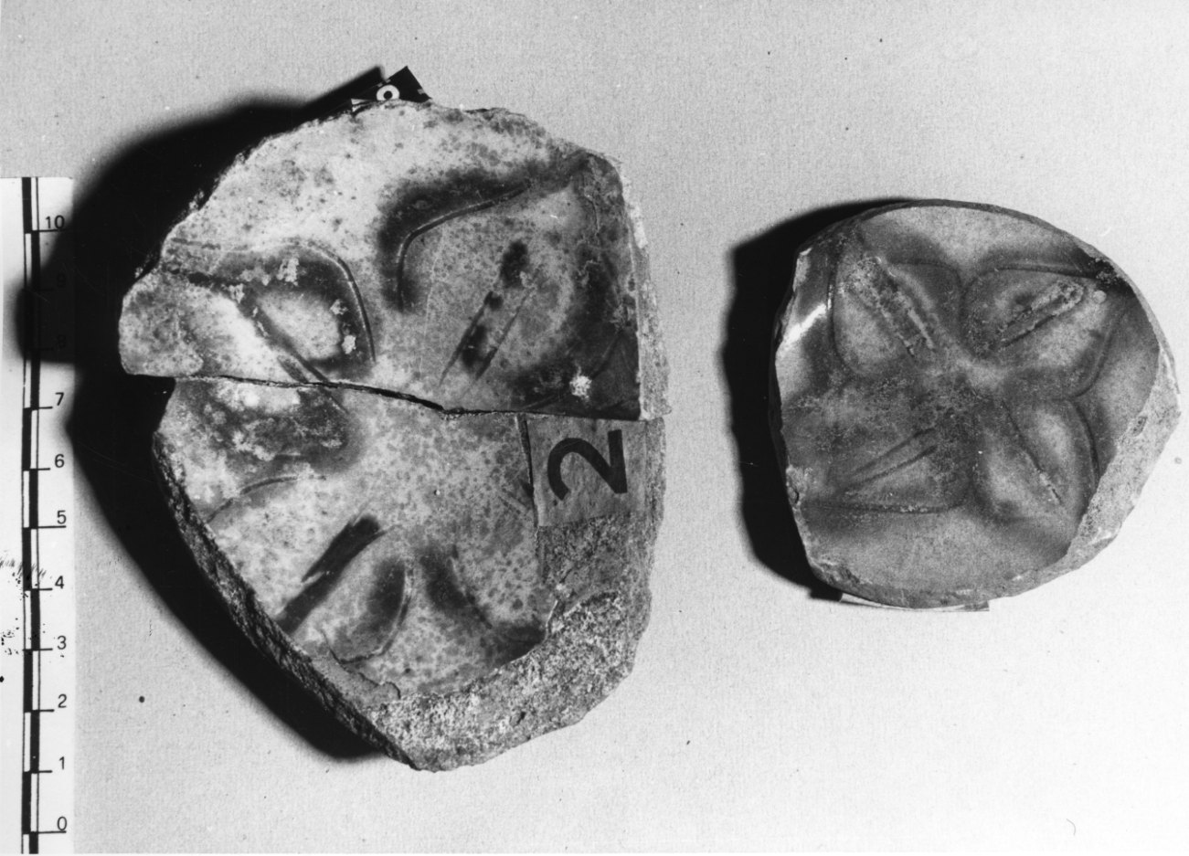 scodella, frammento - bottega Italia settentrionale (sec. XVI)