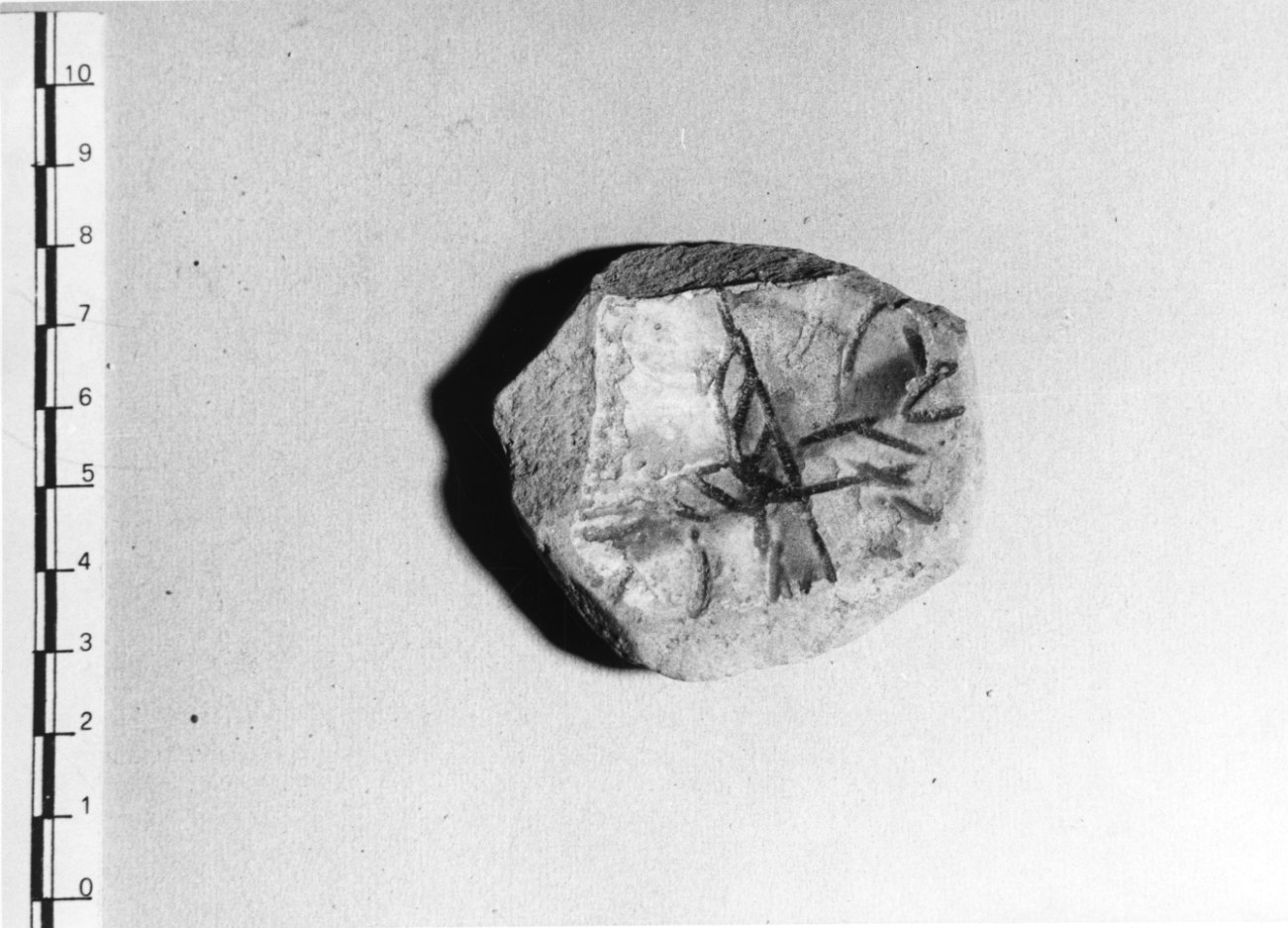 tazza, frammento - bottega Italia settentrionale (secc. XV/ XVI)