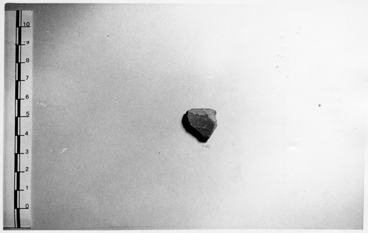 piatto, frammento - bottega Italia settentrionale (sec. XVIII)