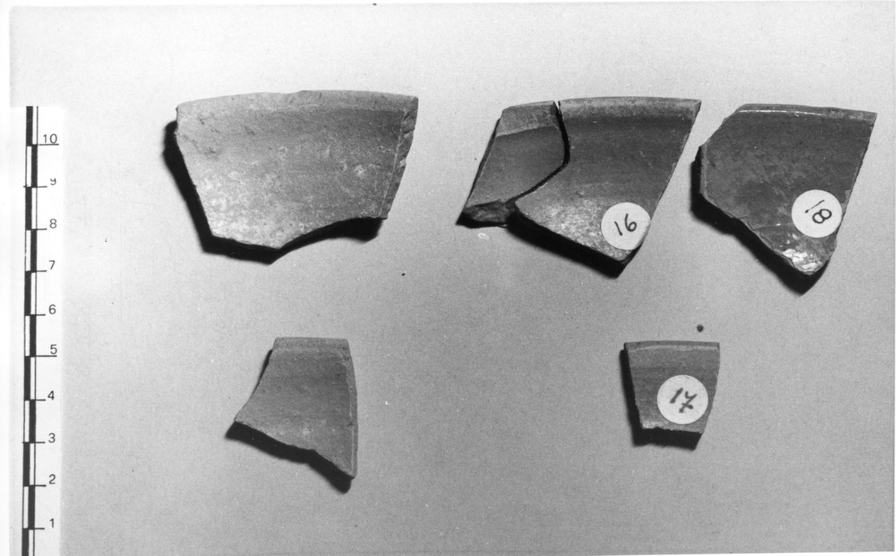 ciotola, frammento - bottega Italia settentrionale (sec. XV)