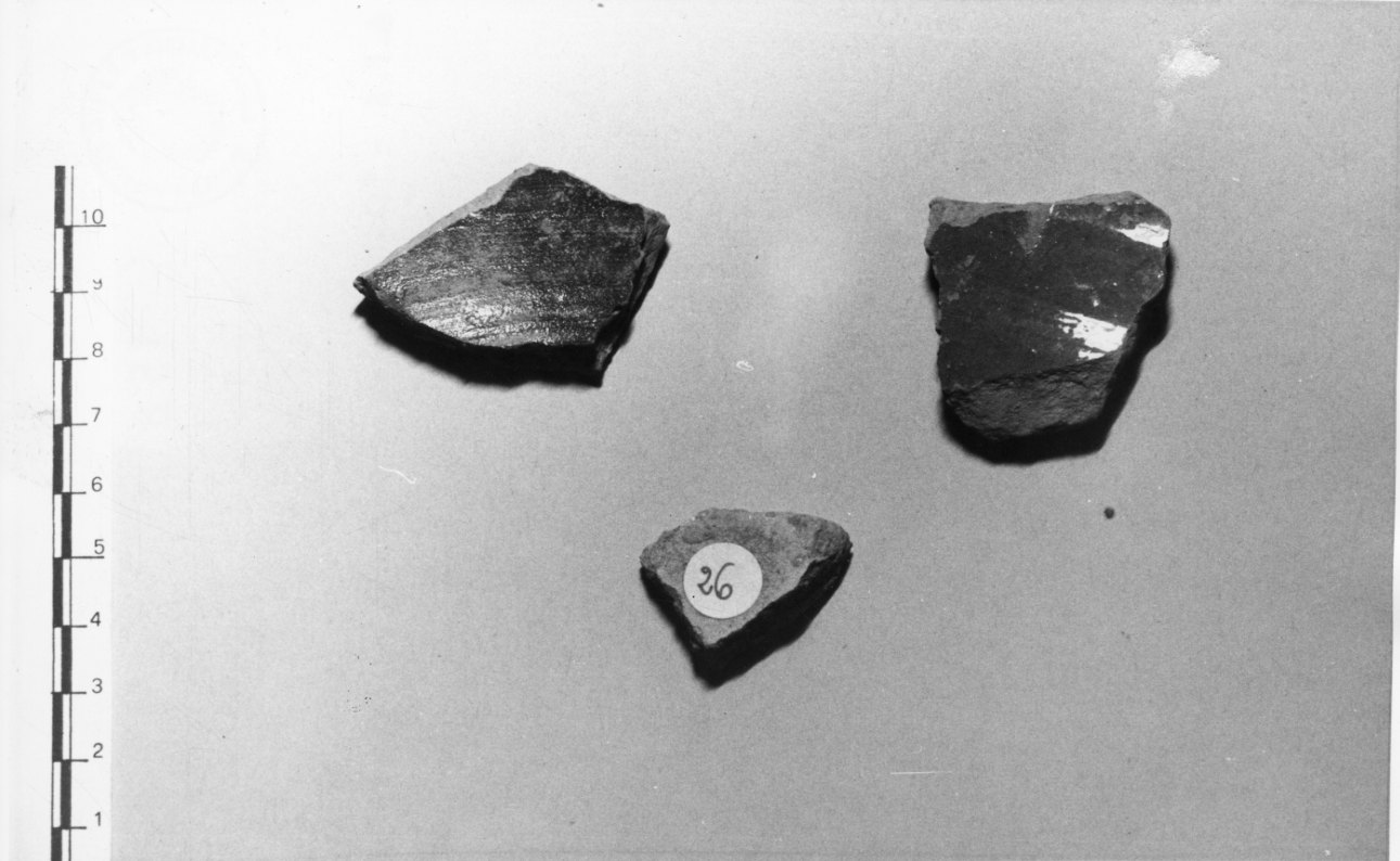 piatto, frammento - bottega Italia settentrionale (sec. XVI)