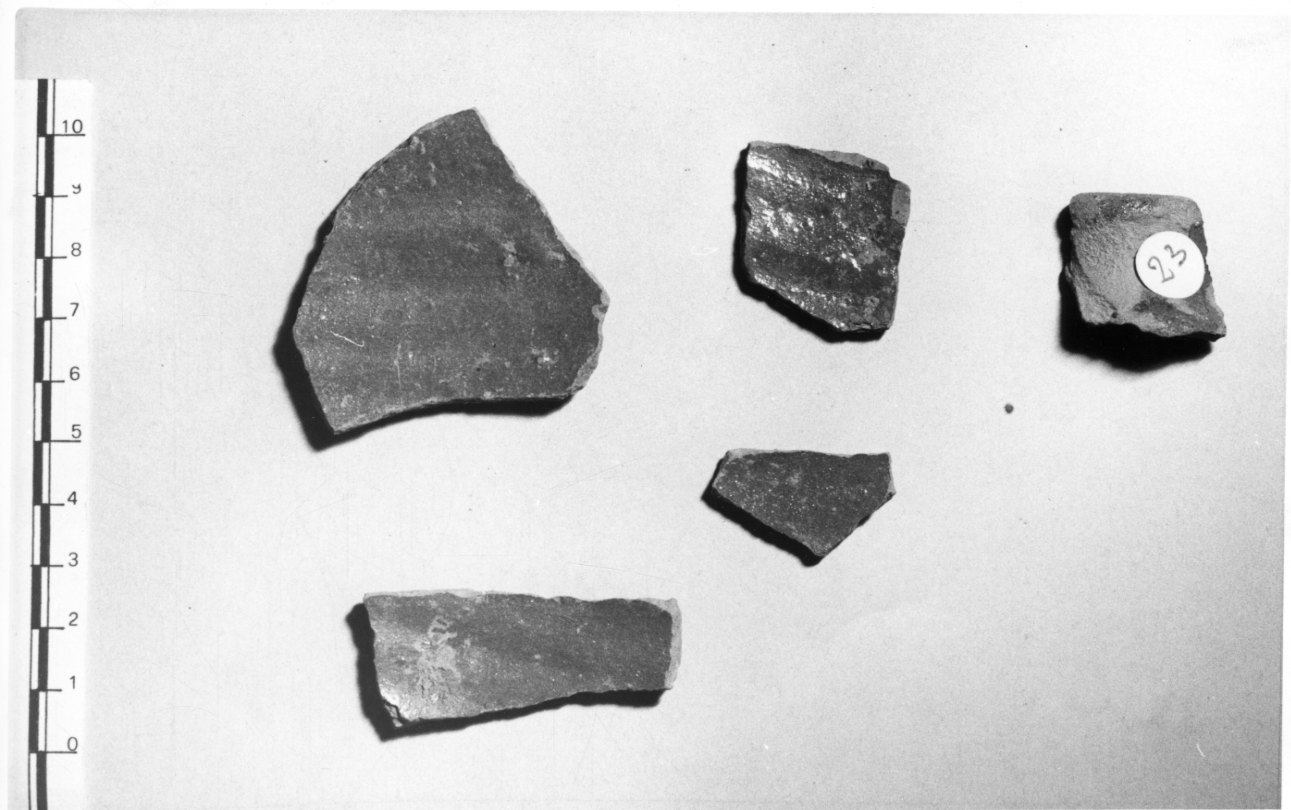 boccale, frammento - bottega Italia settentrionale (sec. XVII)