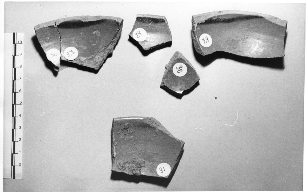 ciotola, frammento - bottega Italia settentrionale (sec. XVI)