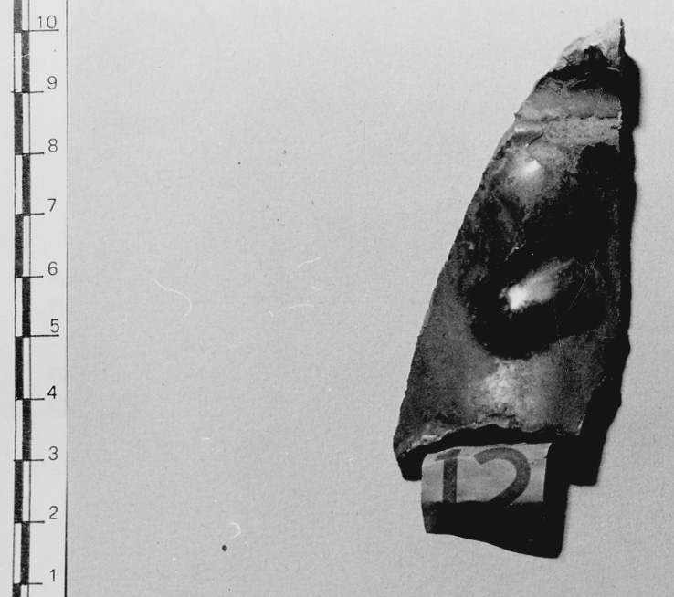 coppa, frammento - bottega Italia settentrionale (secc. XIII/ XV)