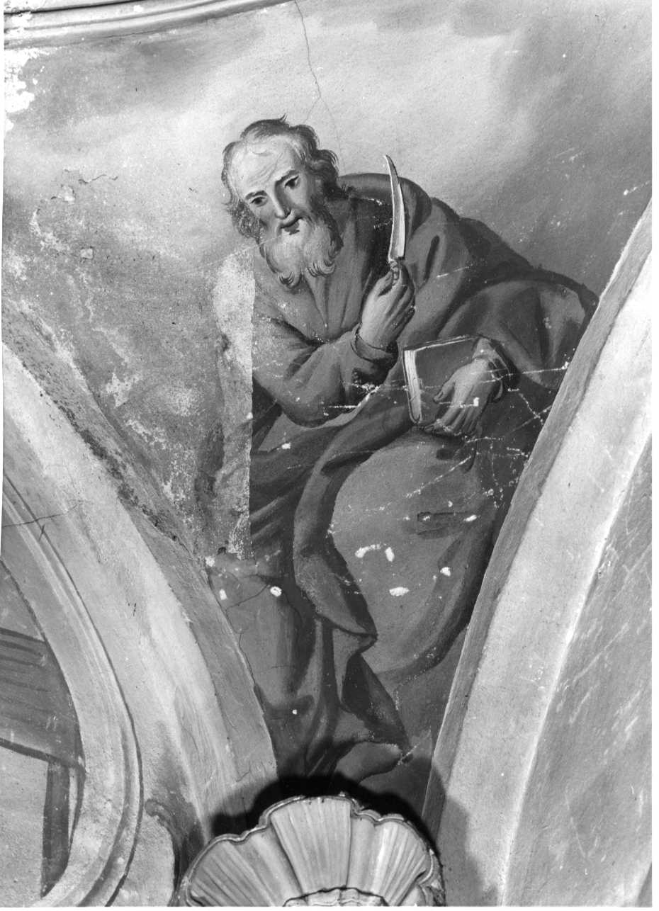 Santo (decorazione pittorica, elemento d'insieme) - ambito piemontese (secondo quarto sec. XVIII)