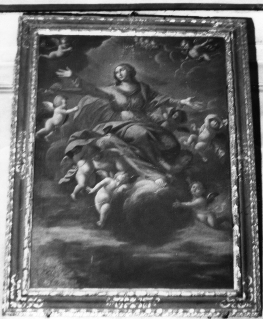 assunzione della Madonna (dipinto, opera isolata) - ambito piemontese (prima metà sec. XVII)