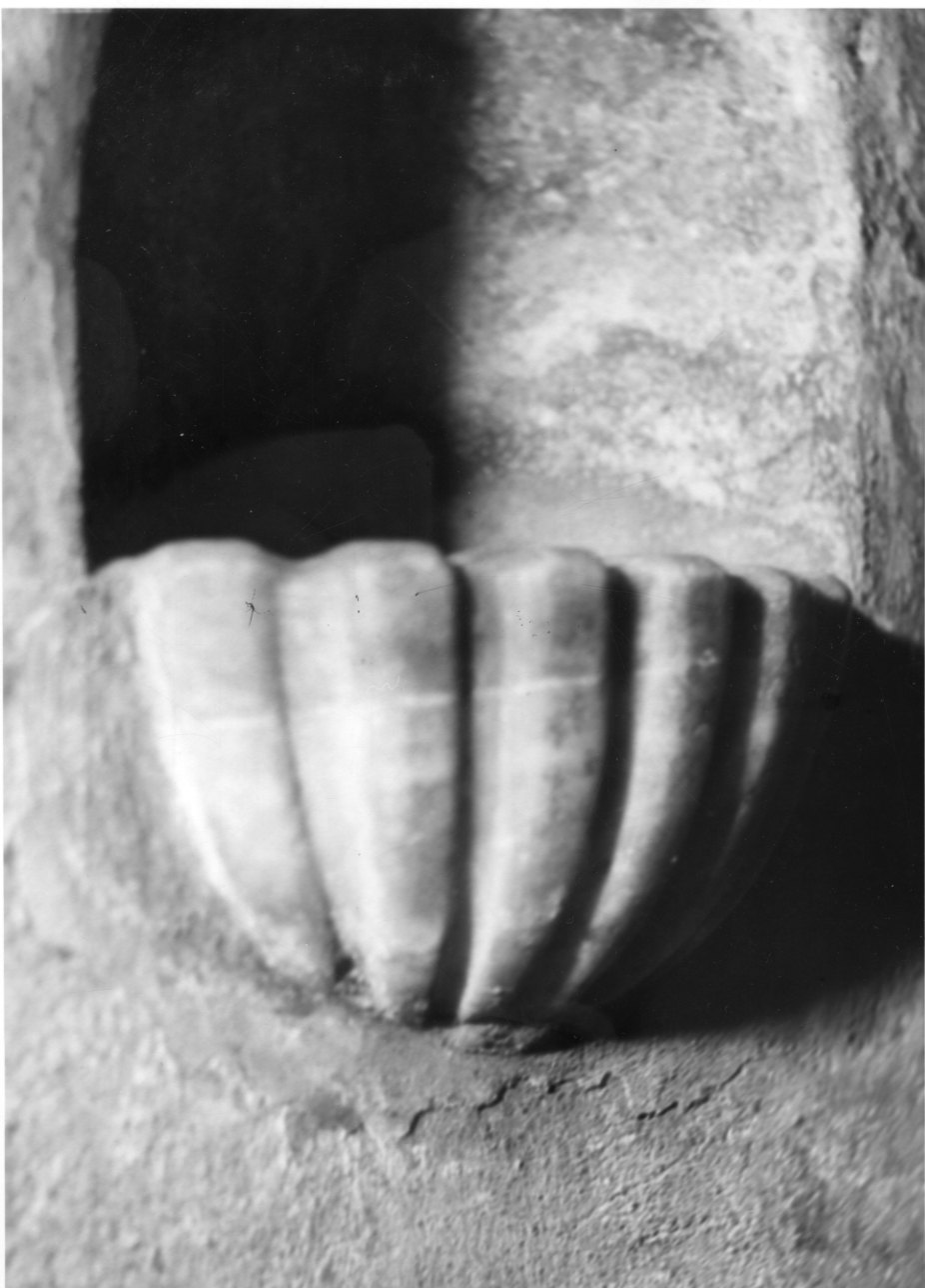 acquasantiera da parete, opera isolata - bottega cuneese (prima metà sec. XVIII)