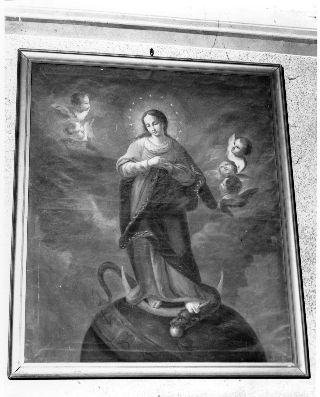 Immacolata Concezione (dipinto, opera isolata) - ambito cuneese (fine/inizio secc. XVIII/ XIX)