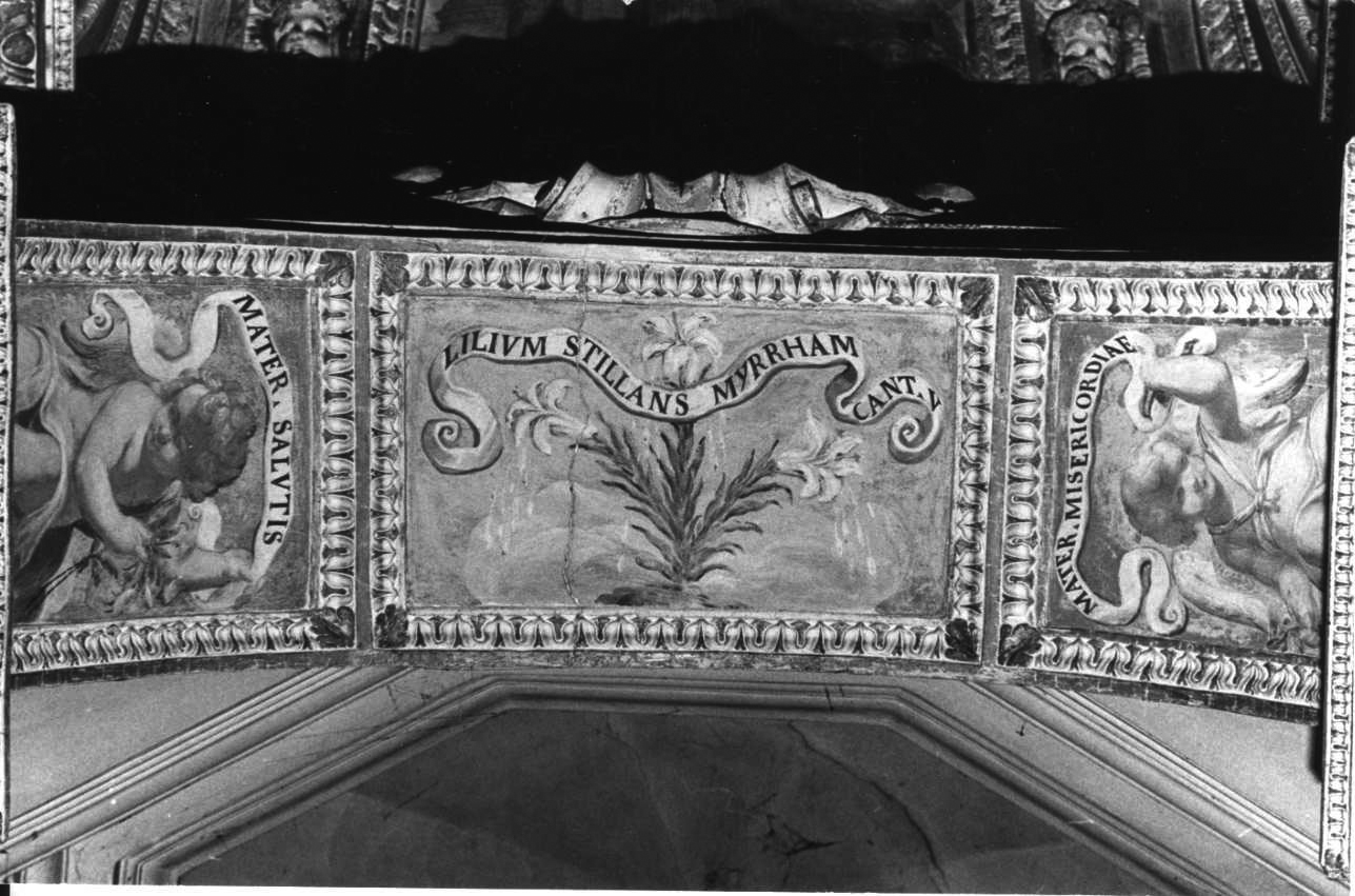 angelo con cartiglio (decorazione pittorica, elemento d'insieme) di Landriani Paolo Camillo detto Duchino (seconda metà sec. XVI)