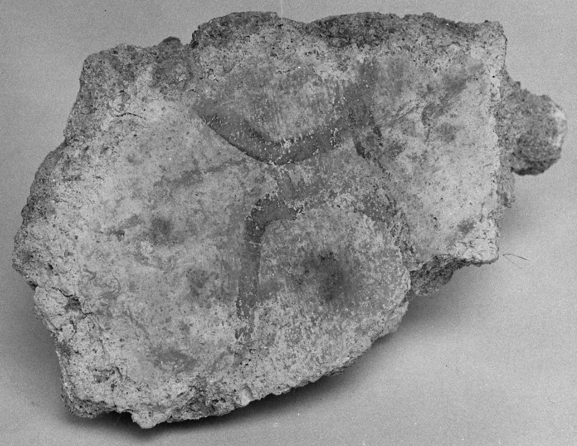 dipinto, frammento - ambito piemontese (fine sec. XVI)