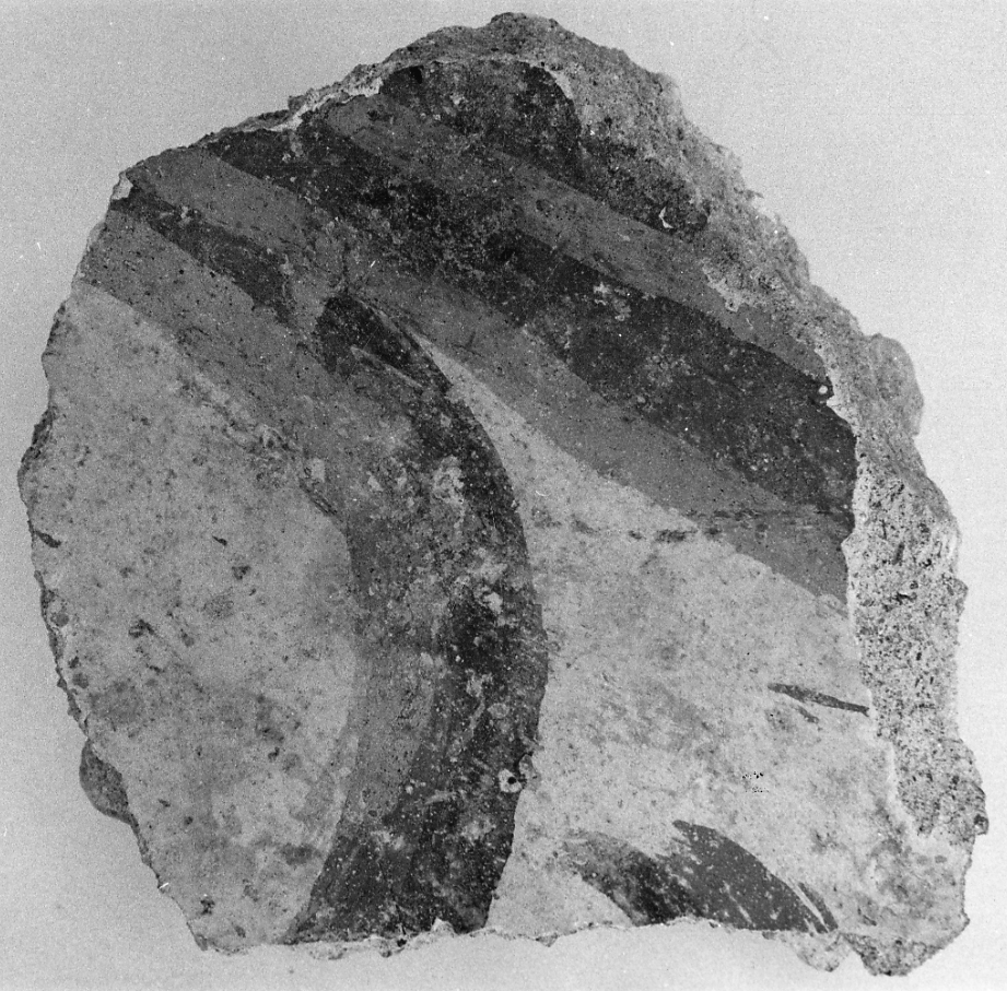 dipinto, frammento - ambito piemontese (fine sec. XVI)