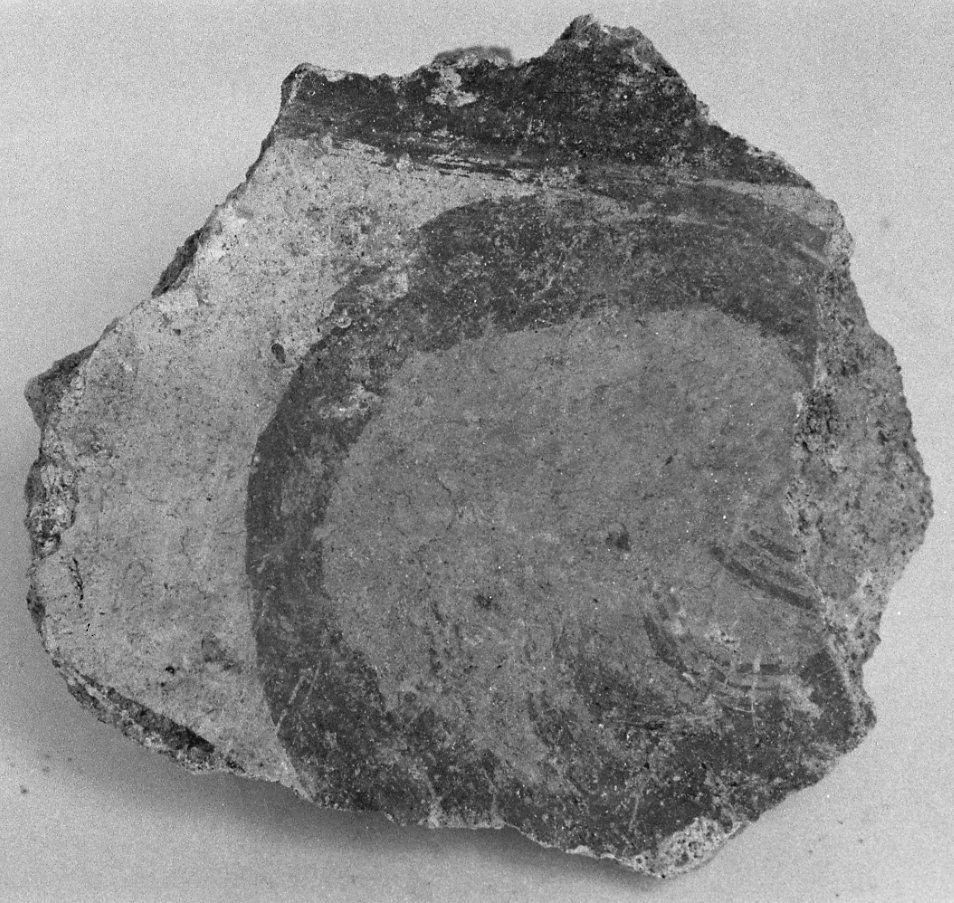 dipinto, frammento - ambito piemontese (fine sec. XVI)