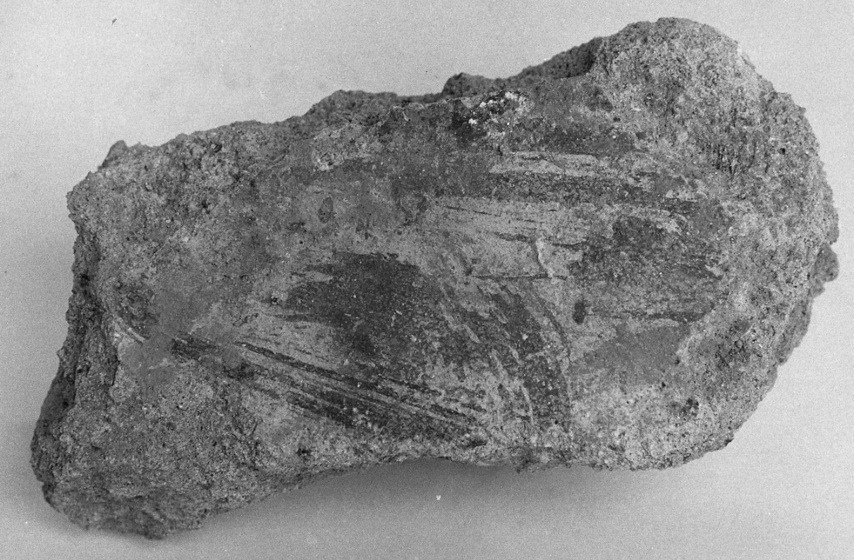 dipinto, frammento - ambito piemontese (fine sec. XVI)