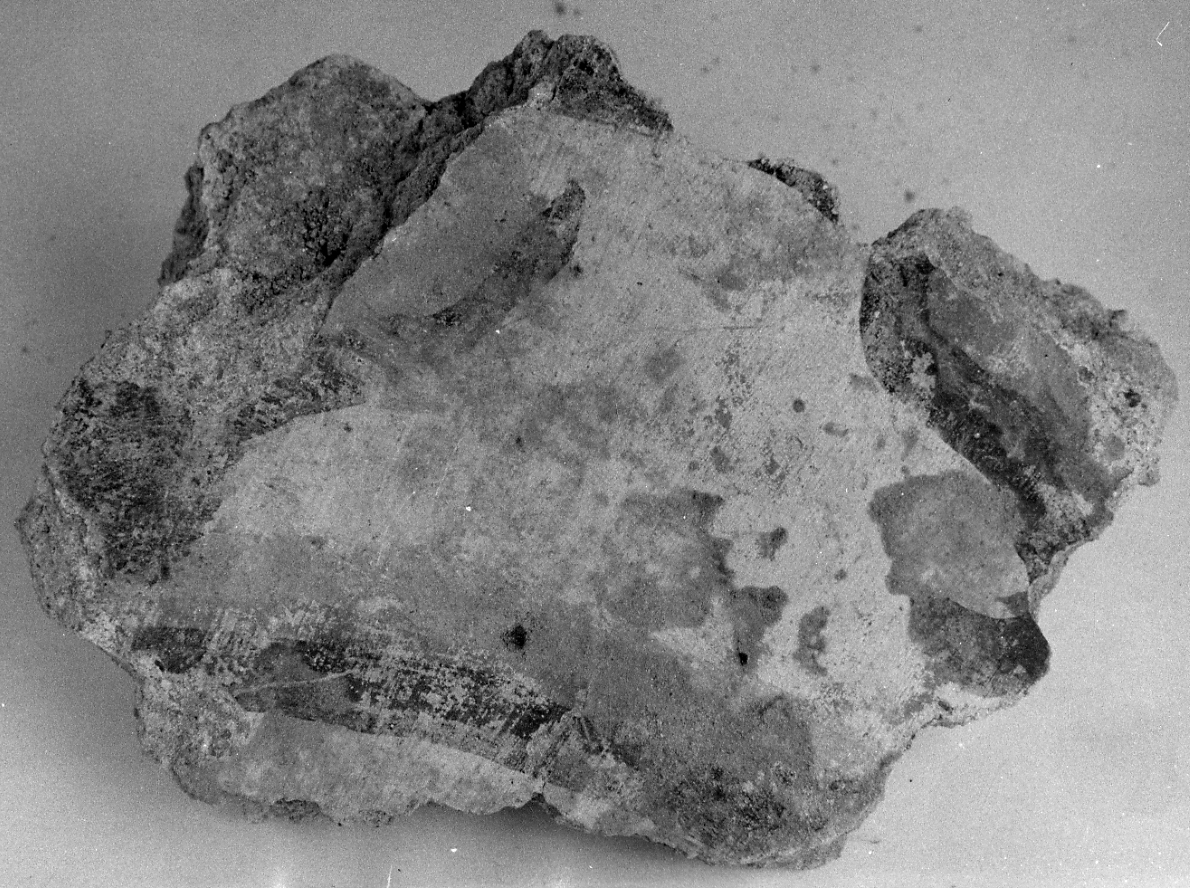 dipinto, frammento - ambito piemontese (fine sec. XVI)