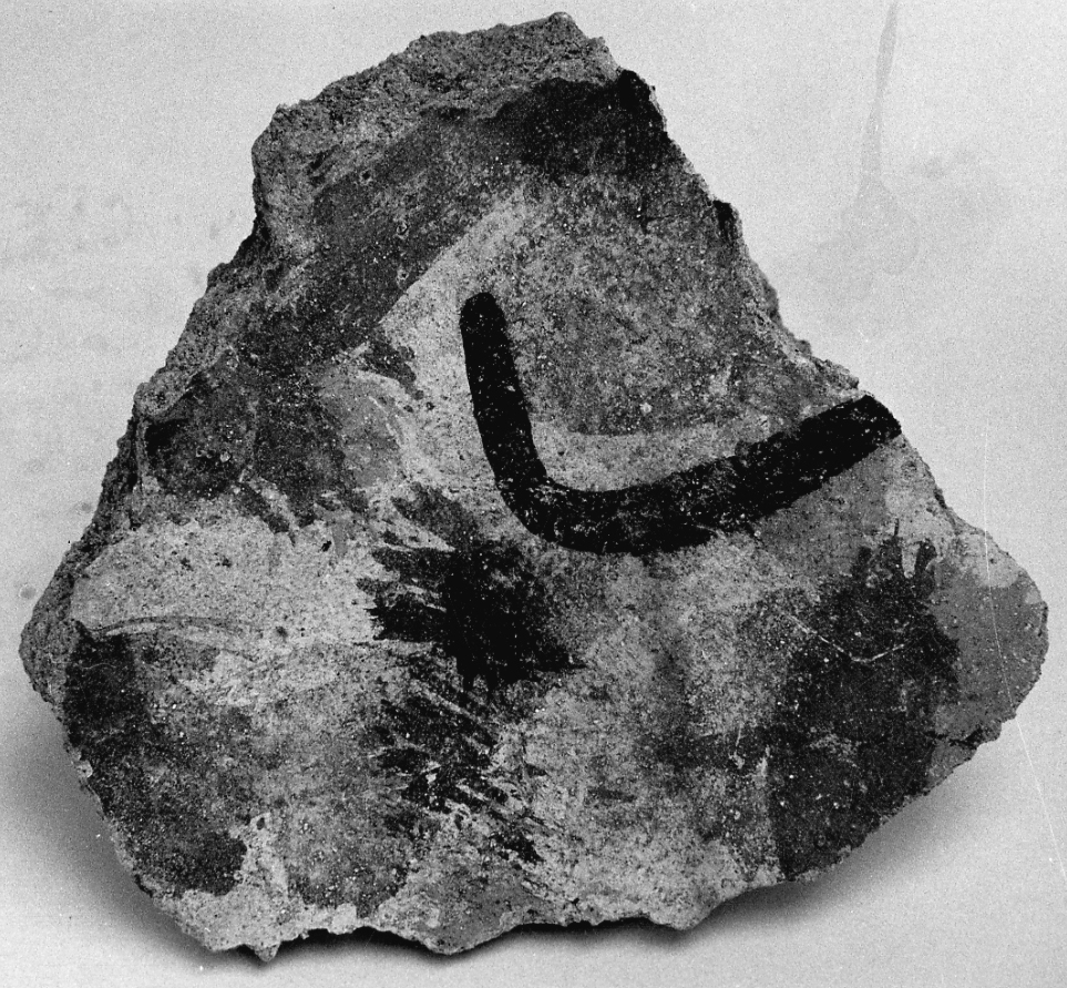 dipinto, frammento - ambito piemontese (fine sec. XVI)