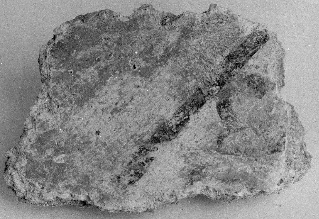 dipinto, frammento - ambito piemontese (fine sec. XVI)