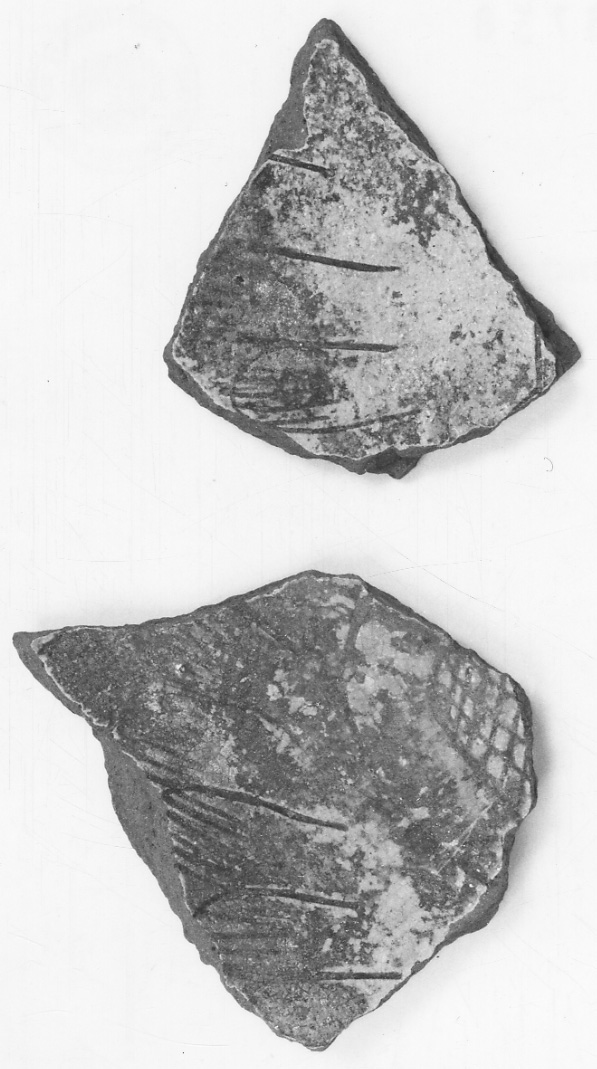 bacino, frammento - bottega padana (fine/inizio secc. XV/ XVI)