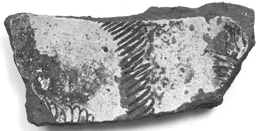 bacino, frammento - bottega padana (sec. XVI)