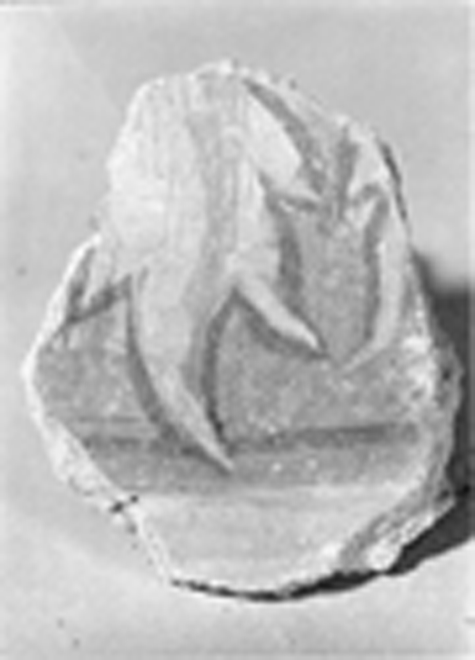 foglia d'acanto (dipinto, frammento) - ambito piemontese (fine/inizio secc. XV/ XVI)