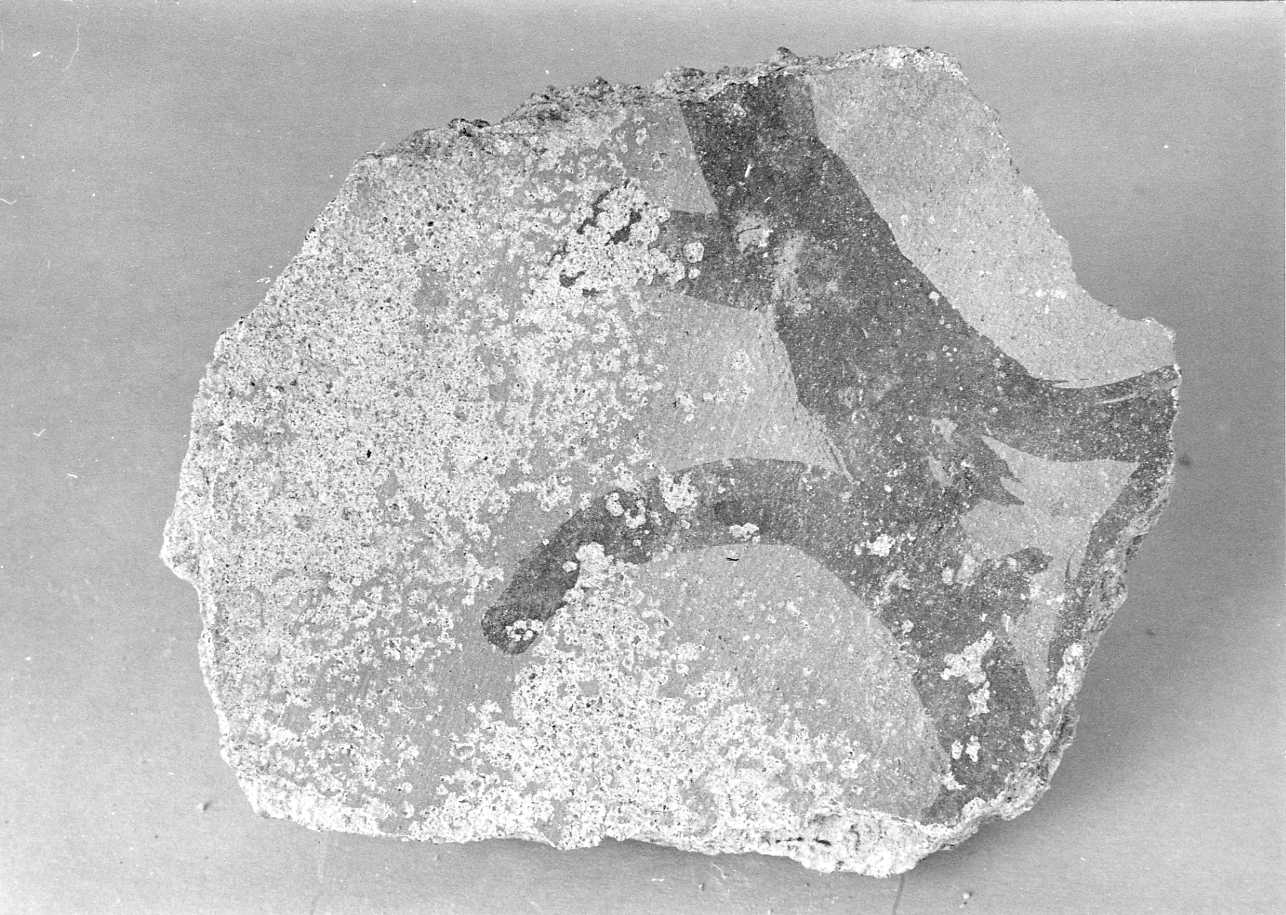 dipinto, frammento - ambito piemontese (sec. XV)