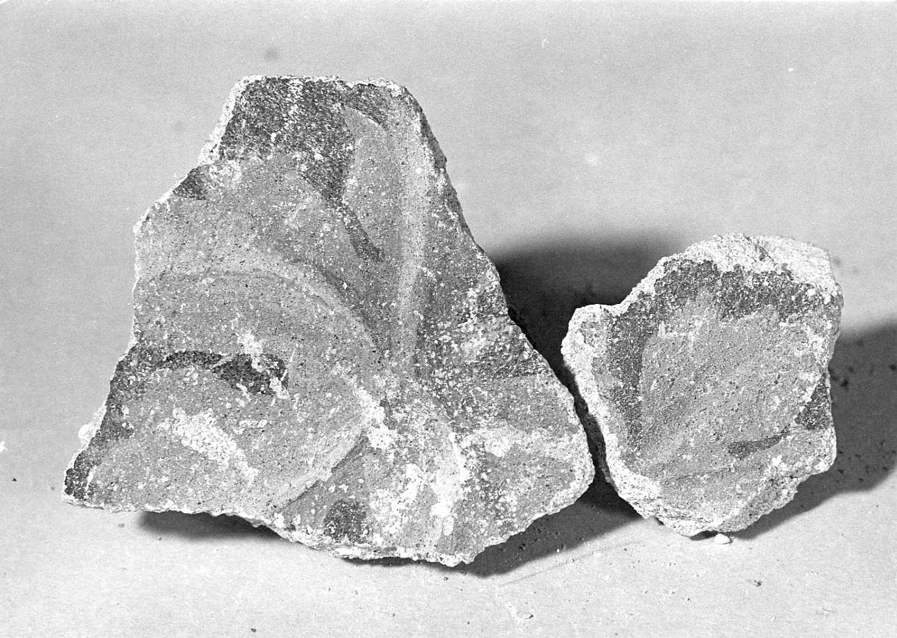 dipinto, frammento - ambito piemontese (sec. XV)