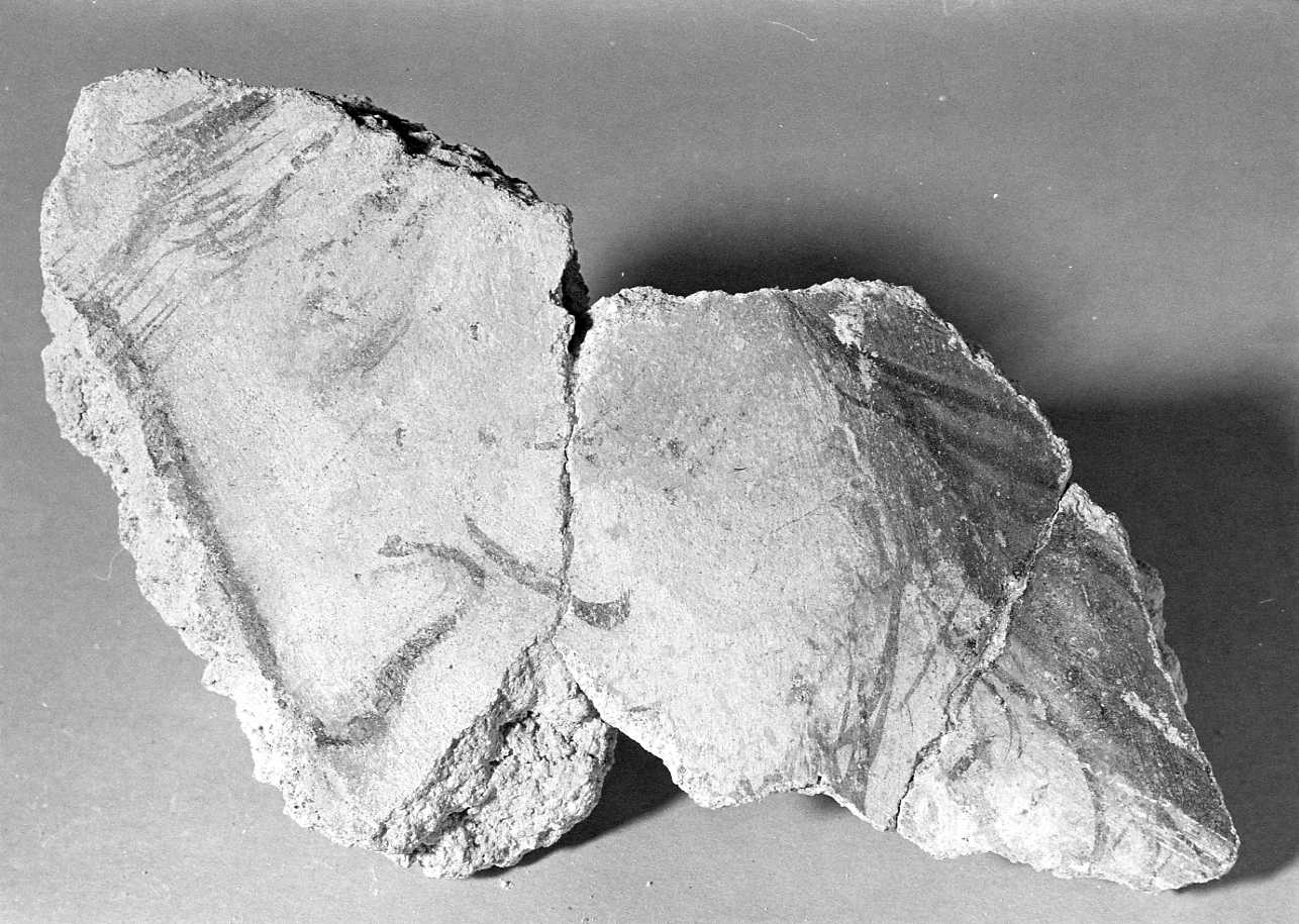 testa d'uomo di profilo (dipinto, frammento) - ambito piemontese (sec. XV)