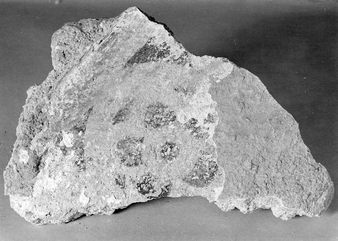 dipinto, frammento - ambito piemontese (sec. XV)