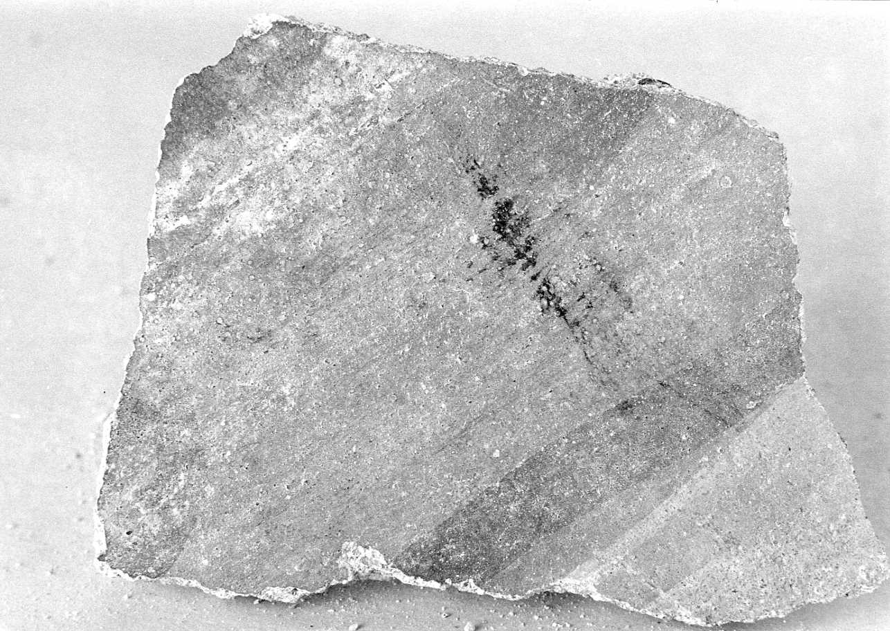 dipinto, frammento - ambito piemontese (sec. XV)