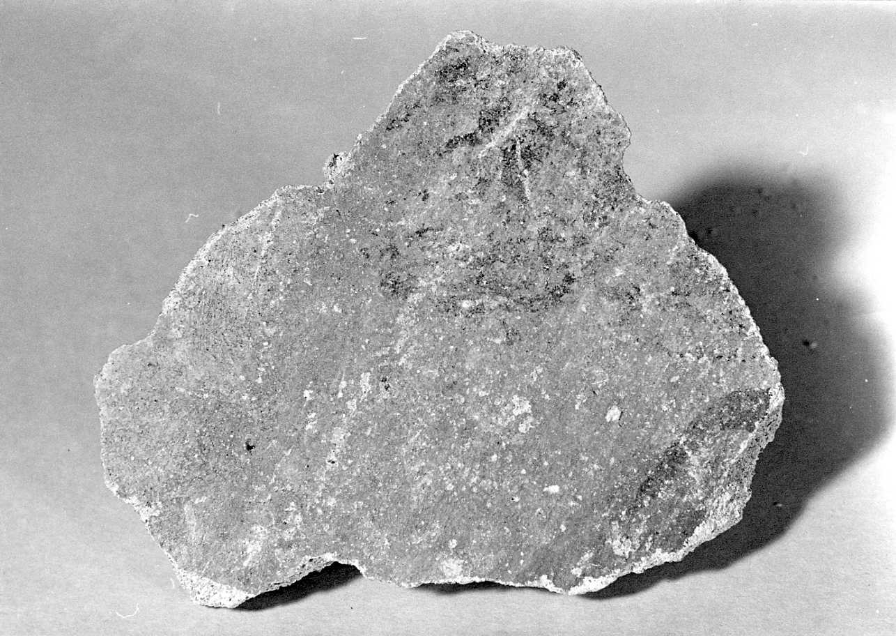 dipinto, frammento - ambito piemontese (sec. XV)