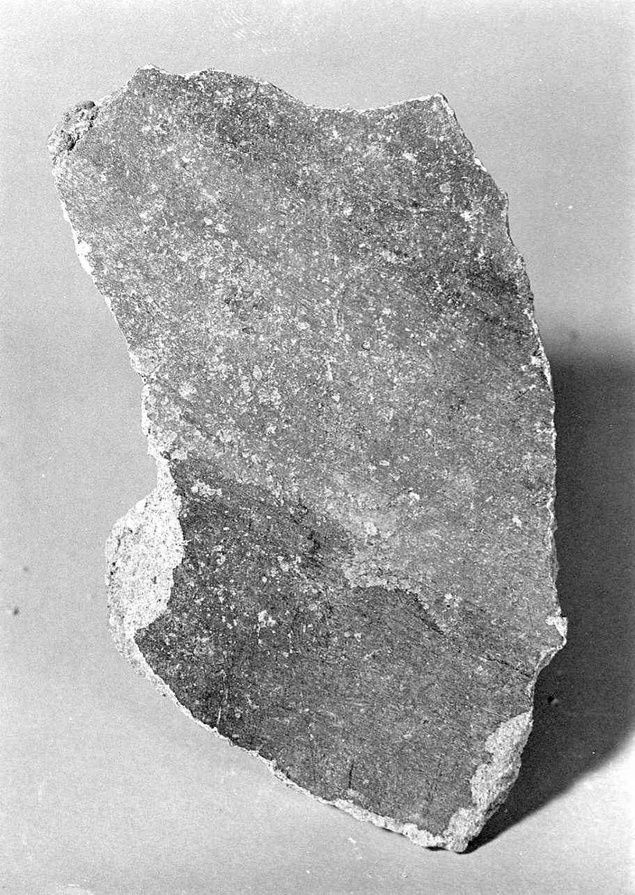 dipinto, frammento - ambito piemontese (ultimo quarto sec. XV)