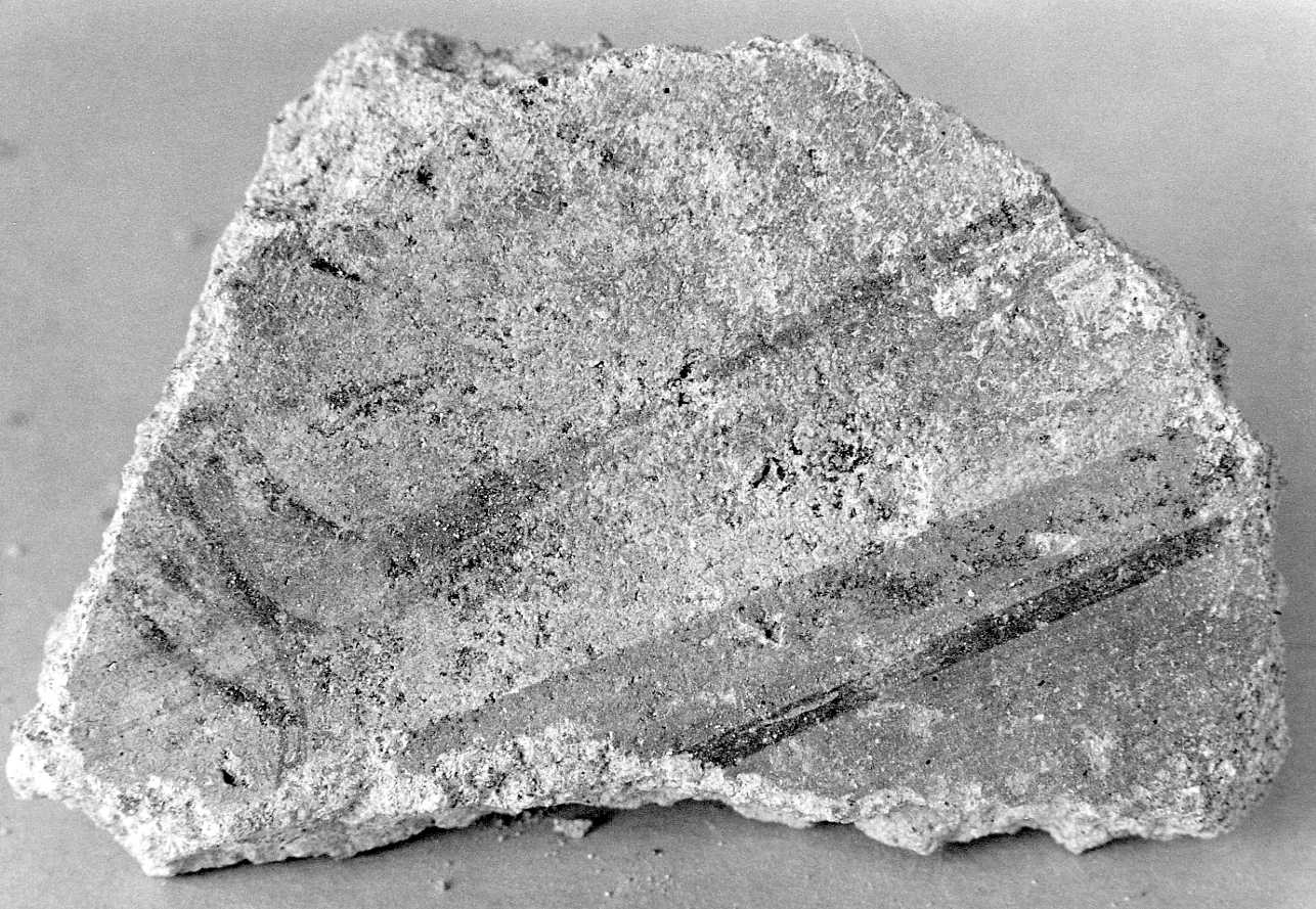 dipinto, frammento - ambito piemontese (sec. XV)