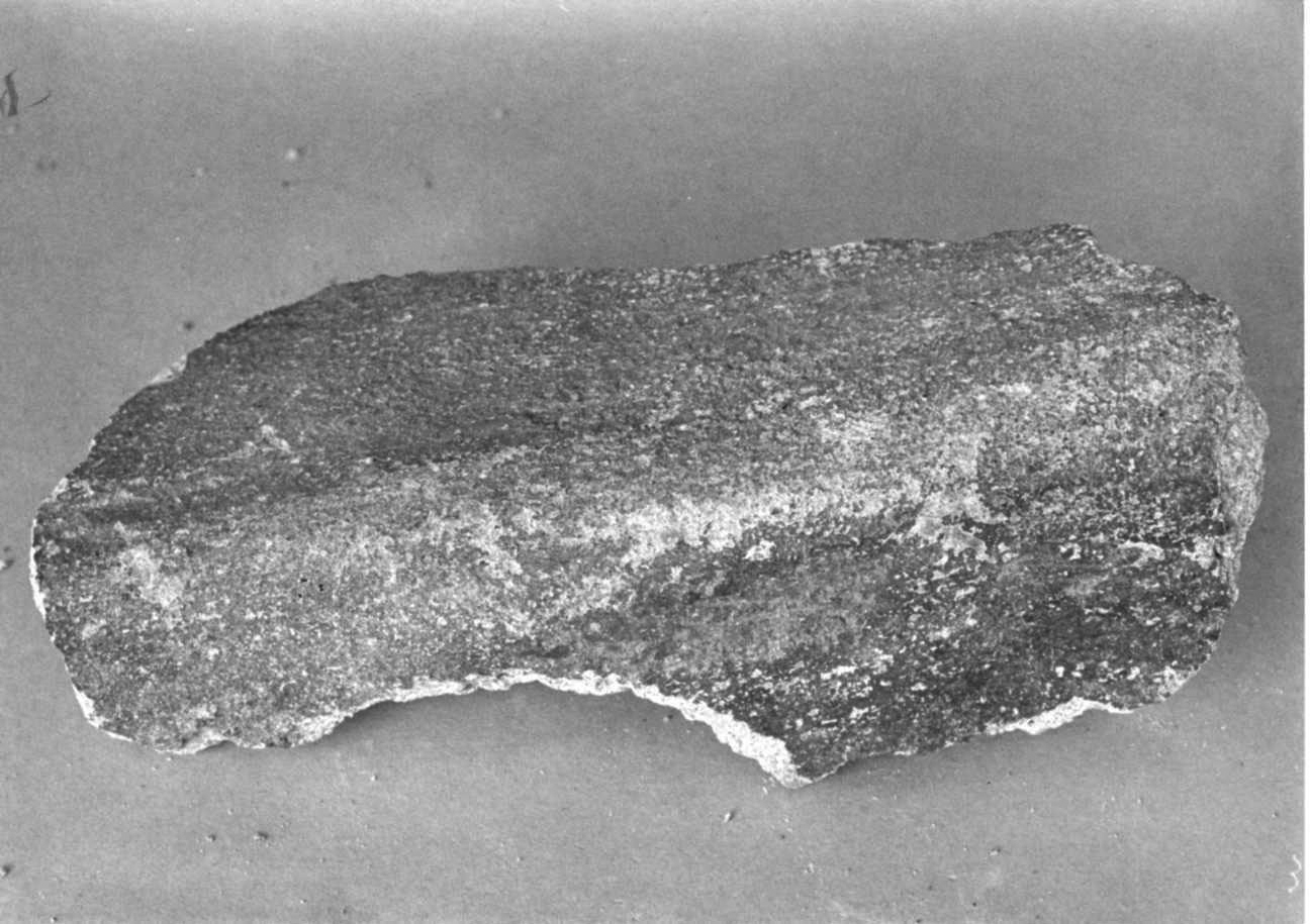 dipinto, frammento - ambito piemontese (sec. XV)