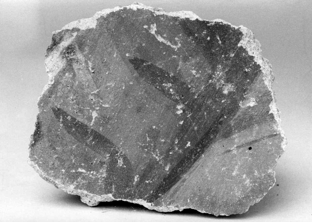 dipinto, frammento - ambito piemontese (fine sec. XV)