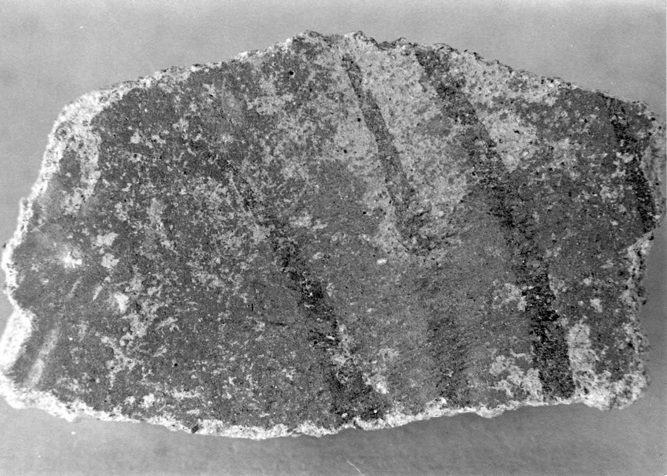 dipinto, frammento - ambito piemontese (sec. XV)