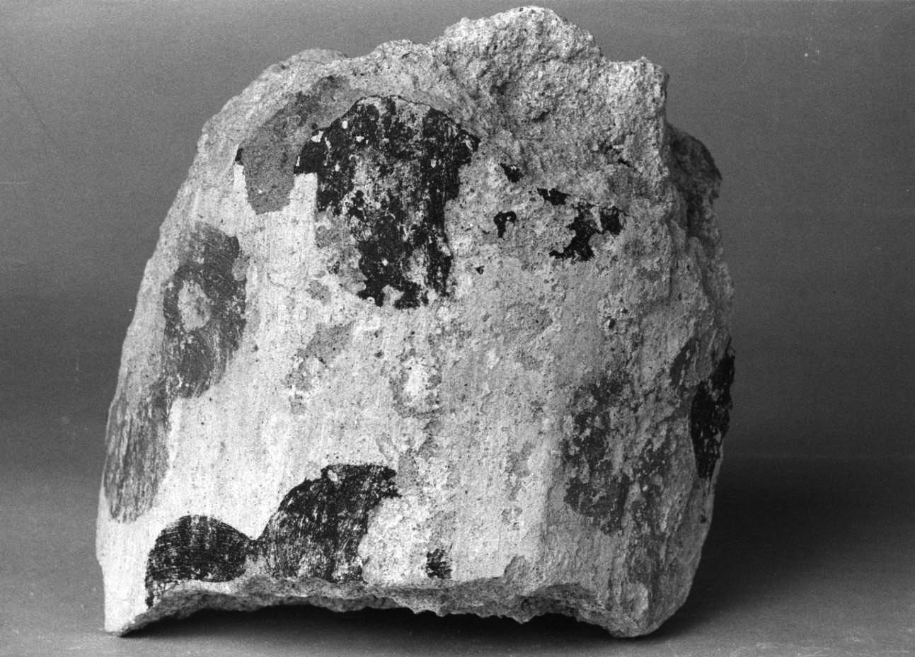 dipinto, frammento - ambito piemontese (fine sec. XI)