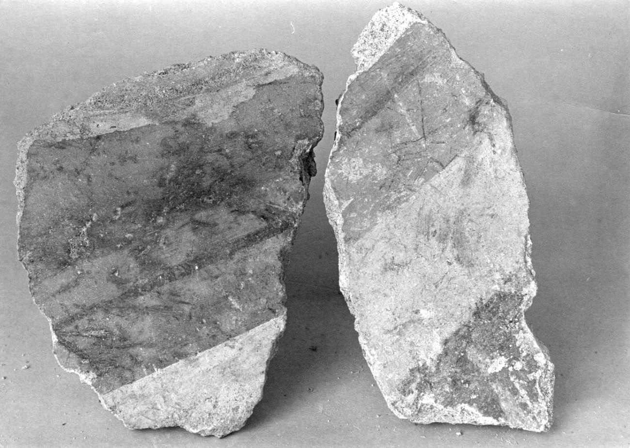 dipinto, frammento - ambito piemontese (fine sec. XV)