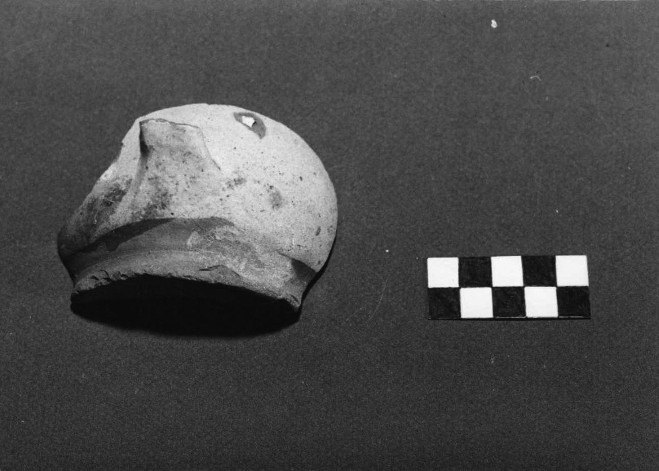 boccale, frammento - bottega padana (sec. XV)