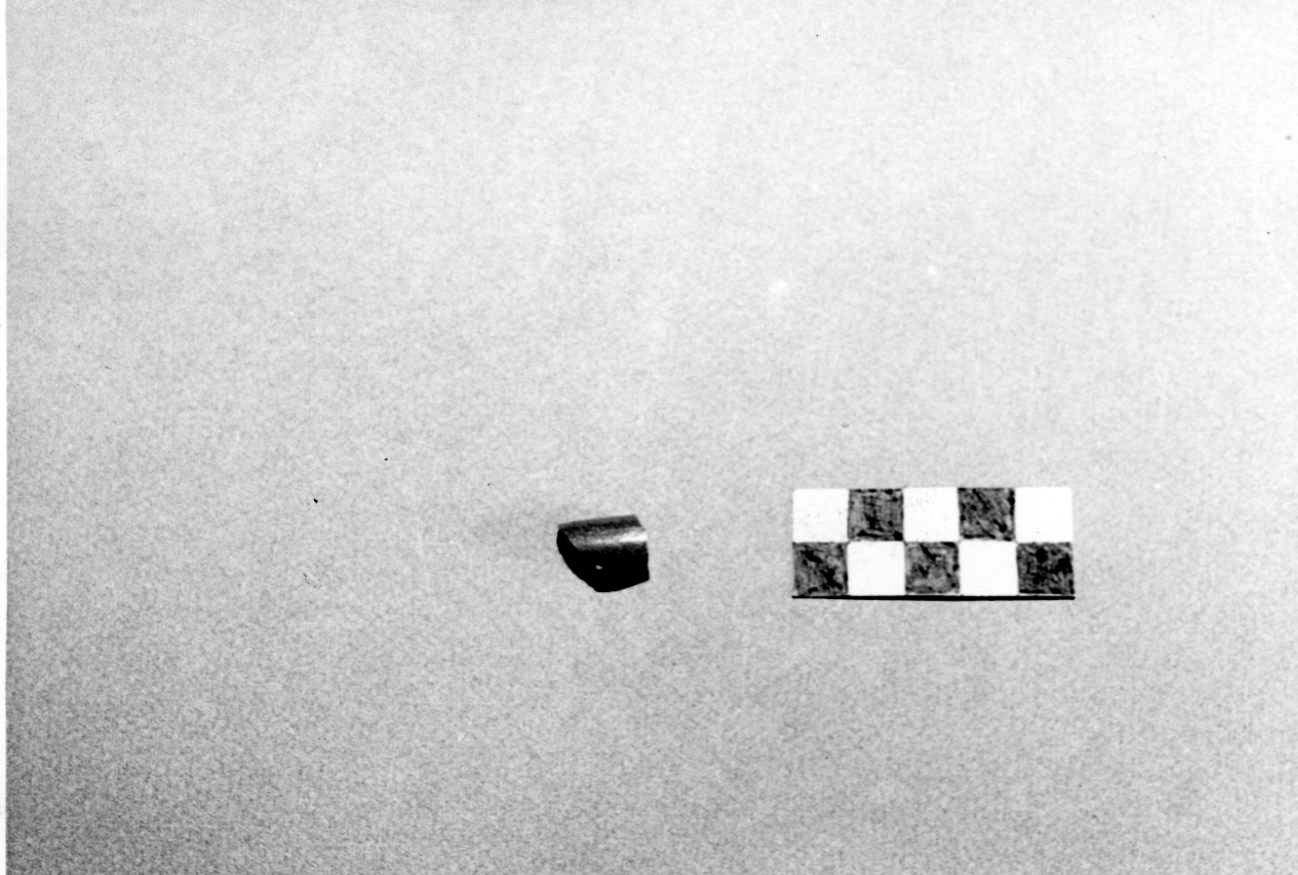 coppetta, frammento - bottega aretina (sec. I)