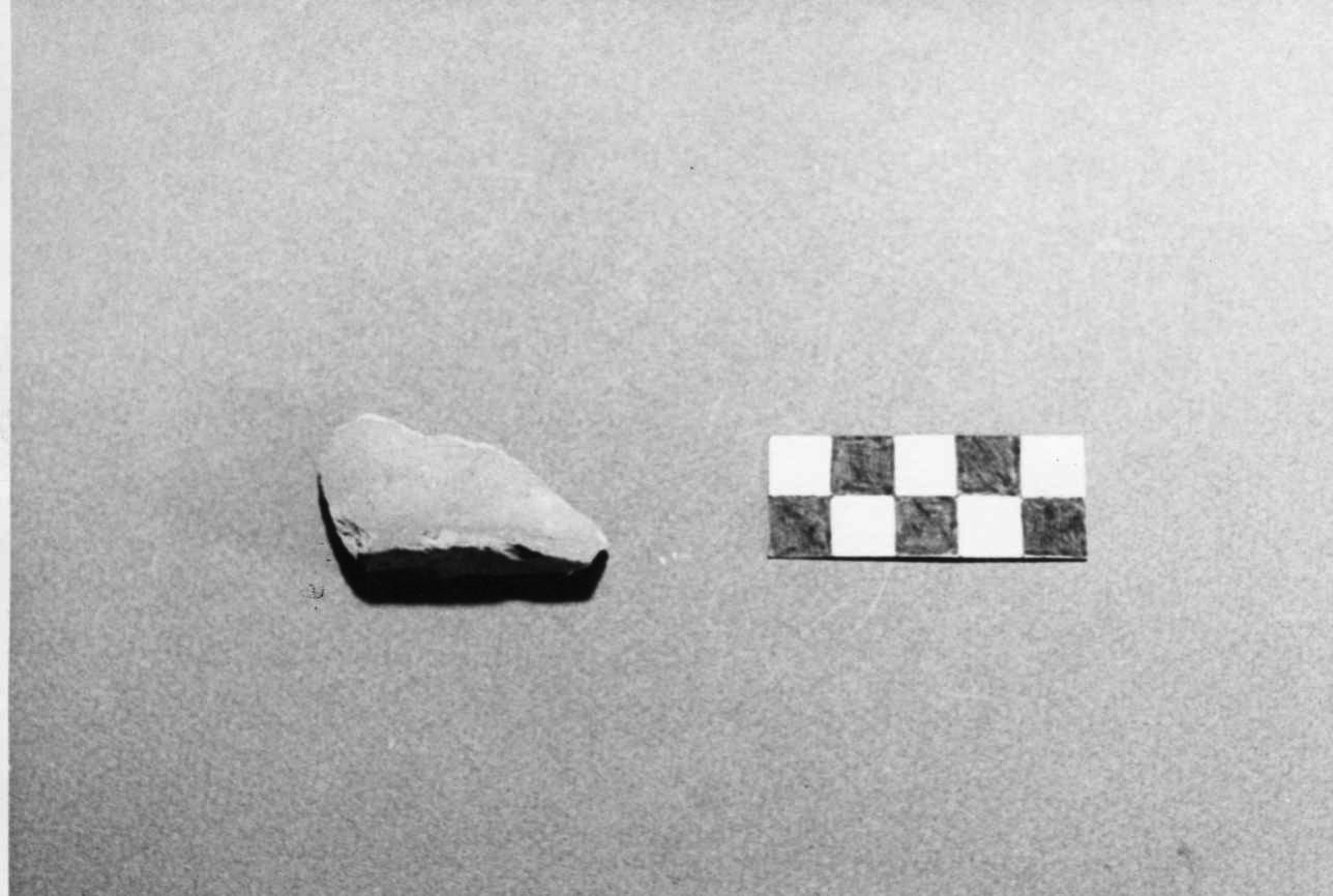 boccale, frammento - bottega padana (secc. XIV/ XV)