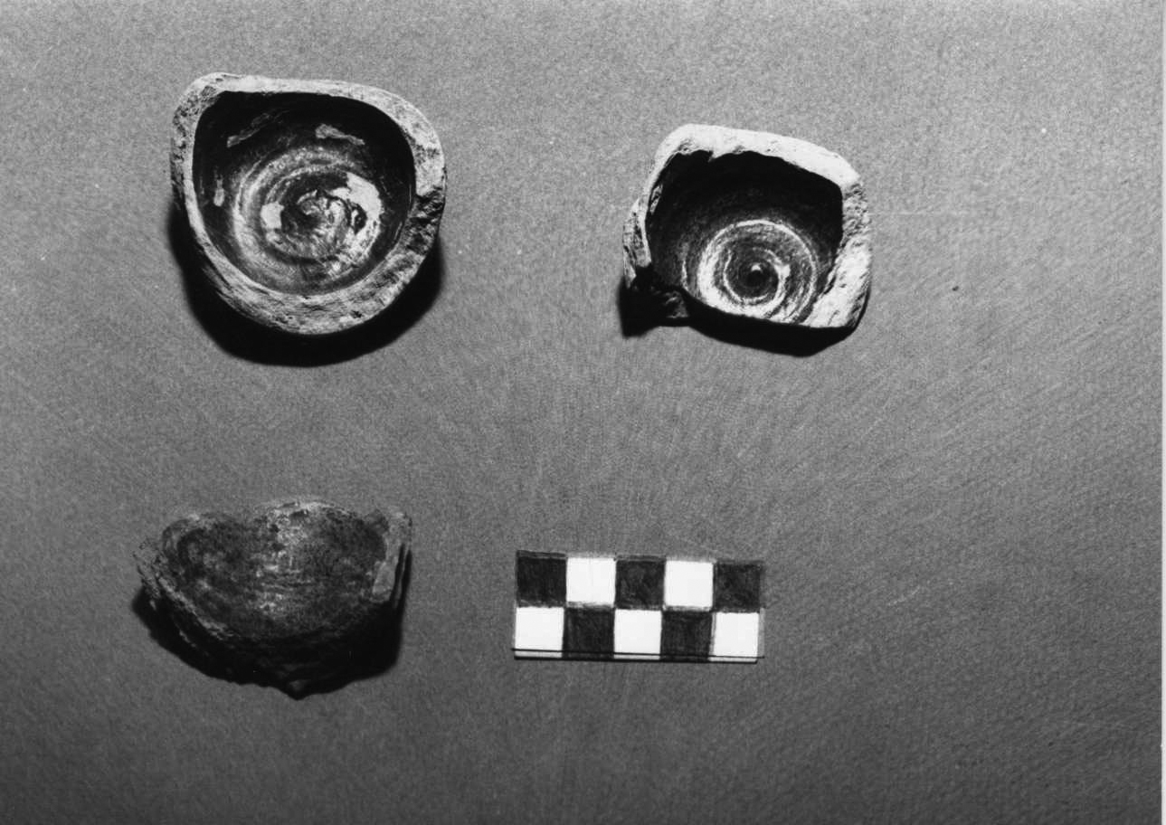 alberello, frammento - bottega padana (secc. XVI/ XVII)